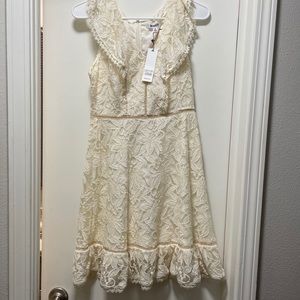Ivory BB Dakota  Lace dress